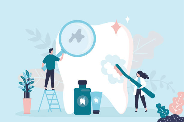Best Preventive Dentistry  in Porter Heights, TX